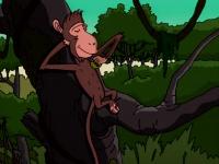 Click to watch 'Monkey See, Monkey Dont...' (popup) The Wild Thornberrys